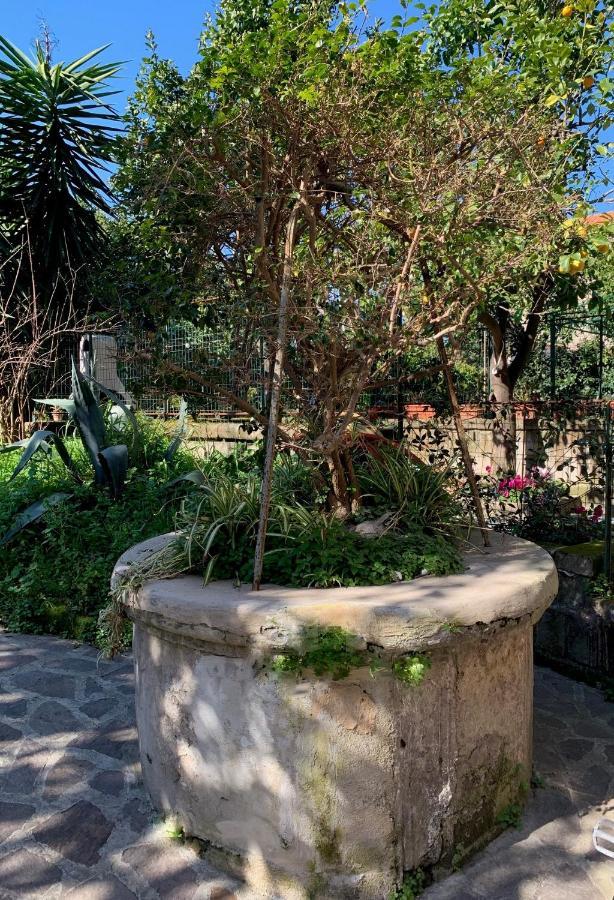Itaca B&B Piano di Sorrento Dış mekan fotoğraf