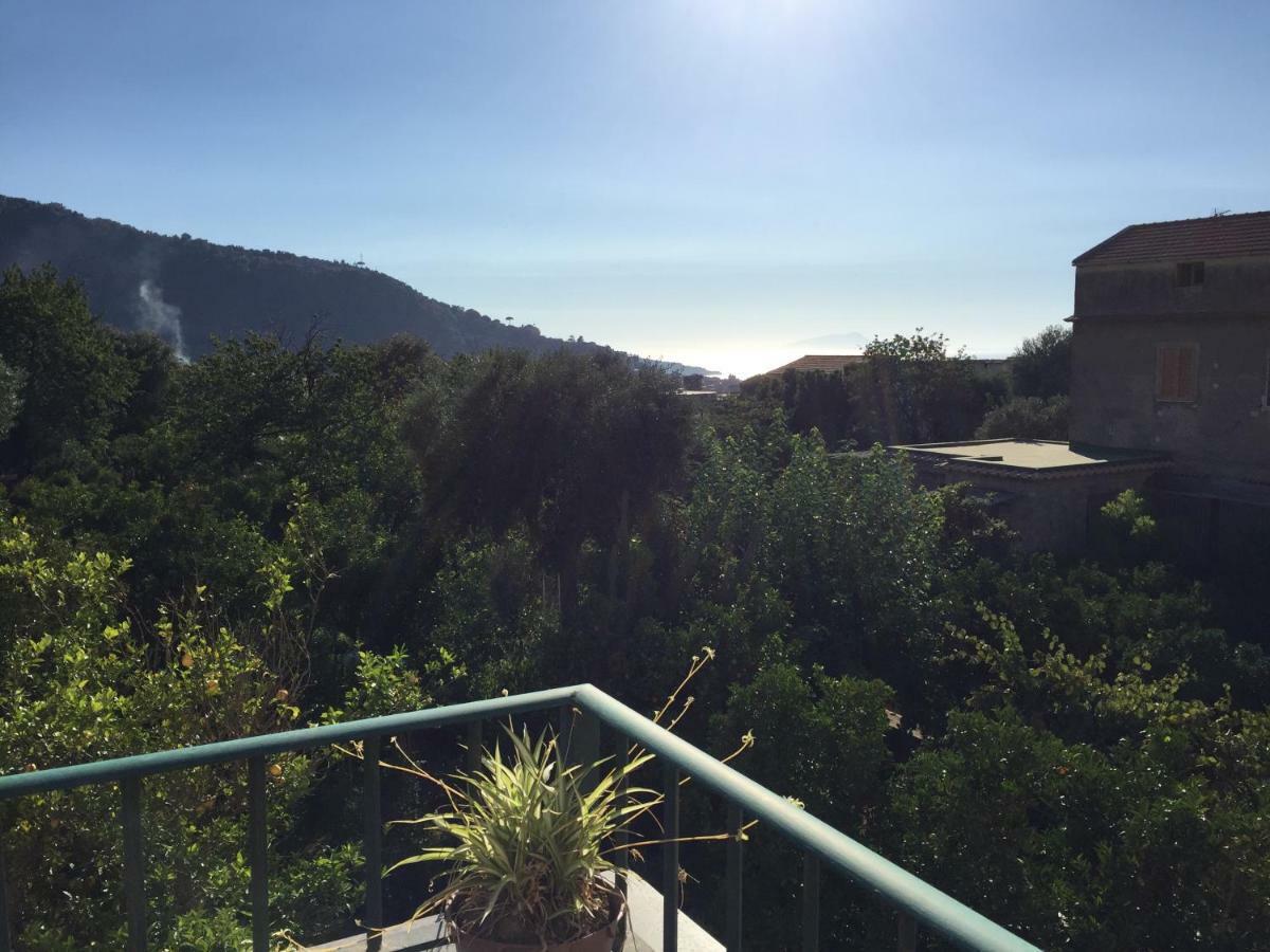 Itaca B&B Piano di Sorrento Dış mekan fotoğraf