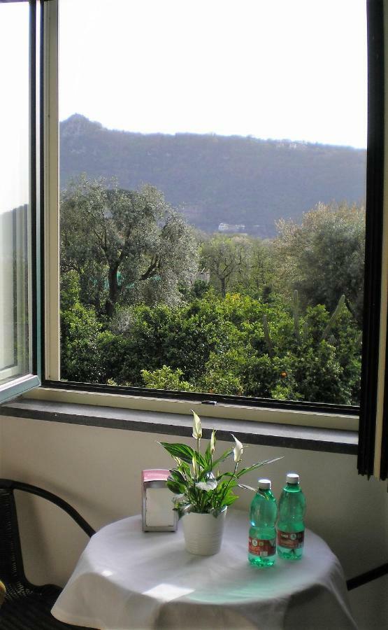 Itaca B&B Piano di Sorrento Dış mekan fotoğraf