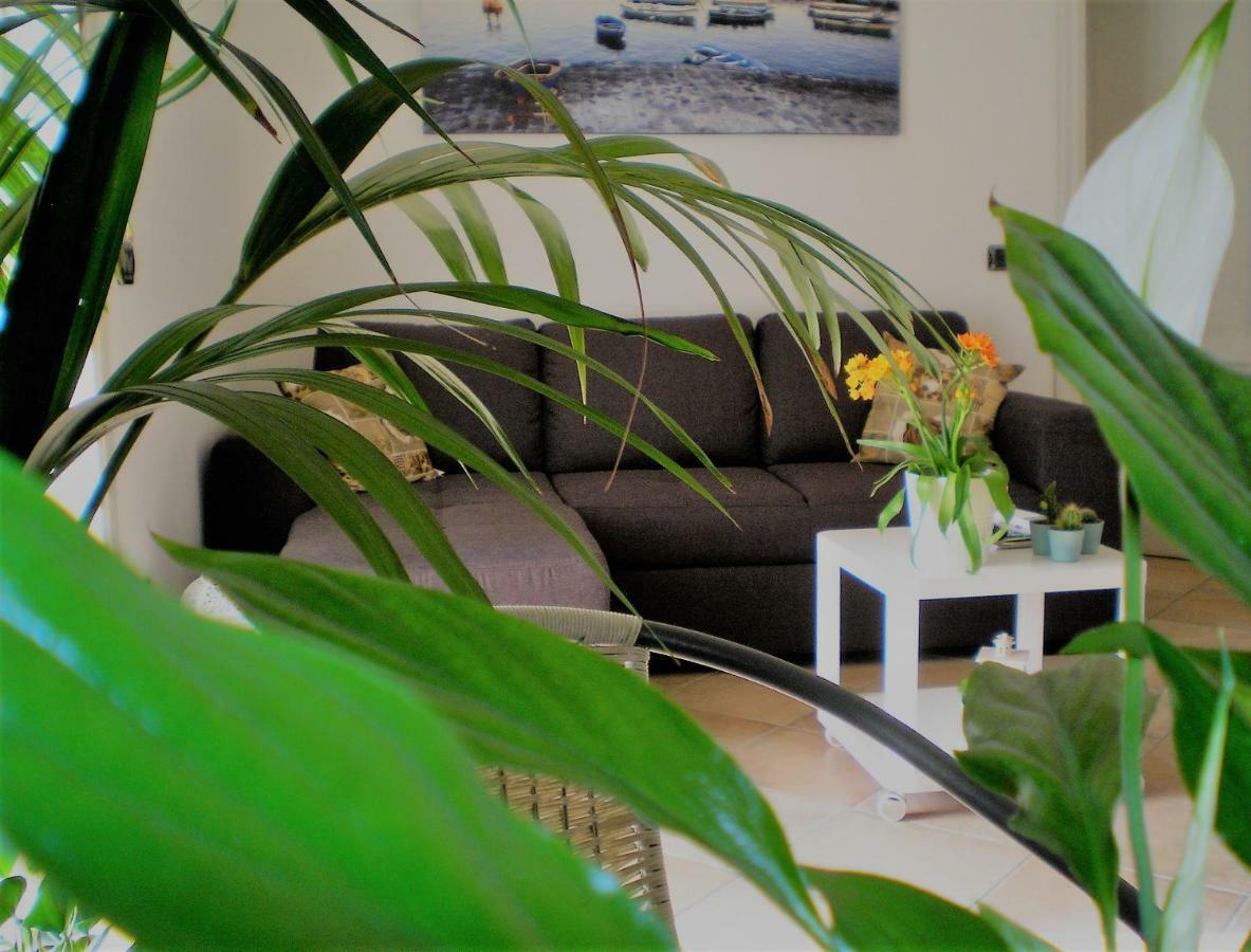 Itaca B&B Piano di Sorrento Dış mekan fotoğraf