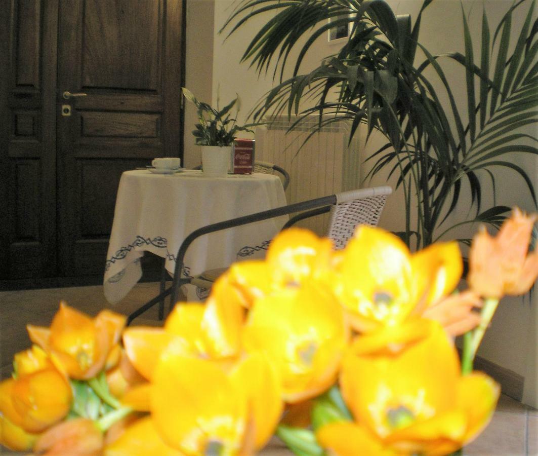 Itaca B&B Piano di Sorrento Dış mekan fotoğraf