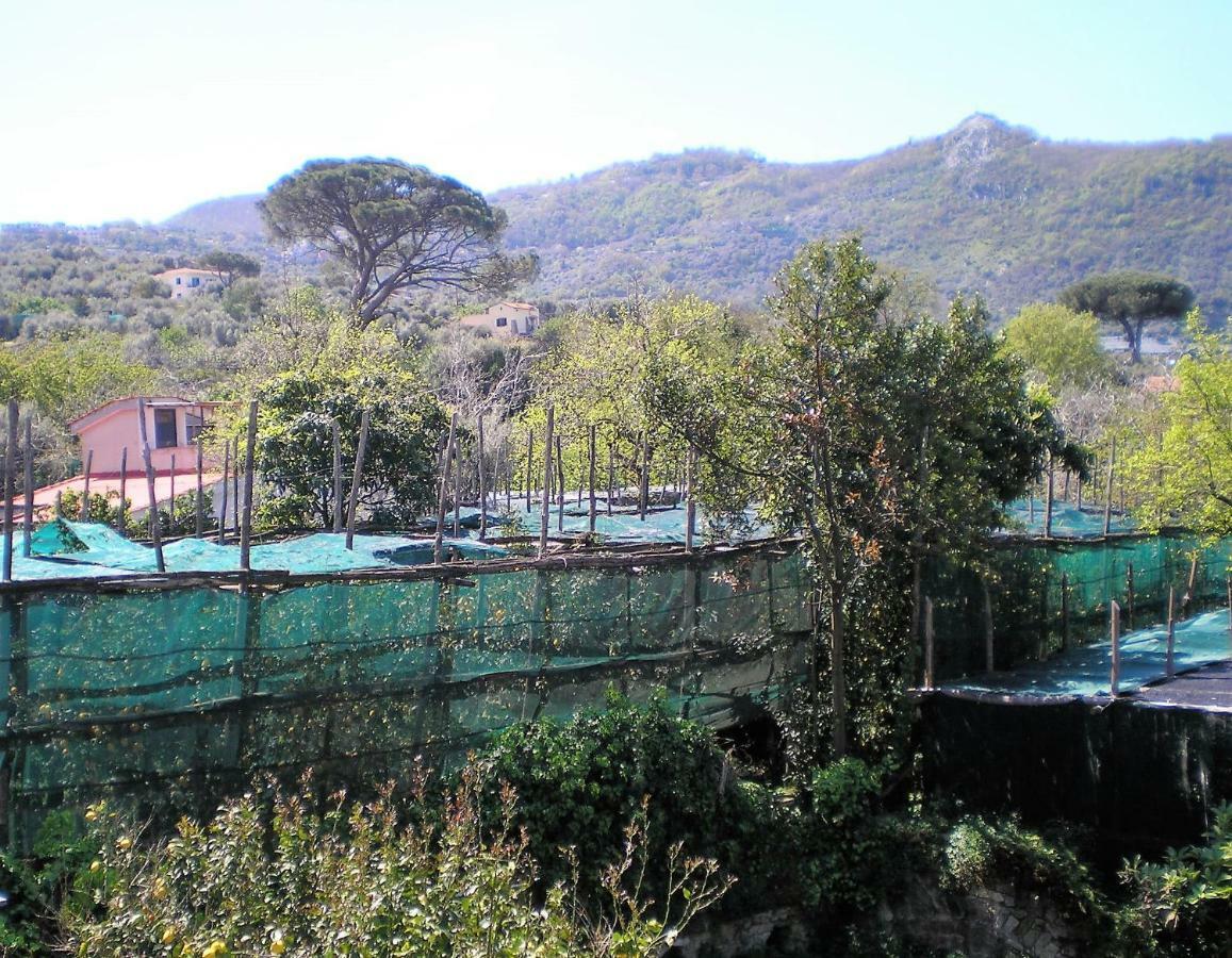 Itaca B&B Piano di Sorrento Dış mekan fotoğraf