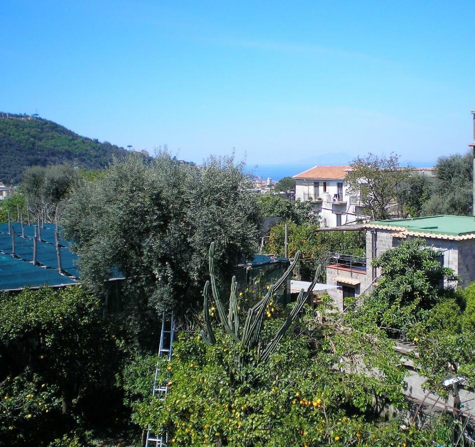 Itaca B&B Piano di Sorrento Dış mekan fotoğraf