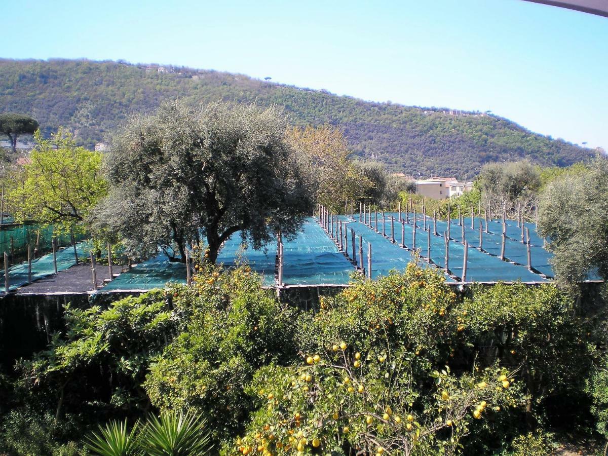 Itaca B&B Piano di Sorrento Dış mekan fotoğraf